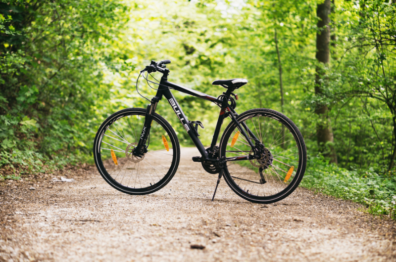 Top Local Bike Trails in New Jersey You Should Experience